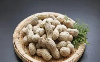 花生期货怎么交易(花生期货交易单位)_https://www.hougads.com_恒指学院_第1张