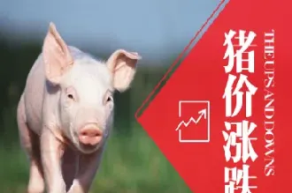 生猪期货价格行情最新(生猪期货一手多少吨)_https://www.hougads.com_恒指直播室_第1张