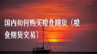 如何购买国外期货(如何购买国外期货交易)_https://www.hougads.com_恒指直播室_第1张