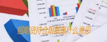 商品期货持仓量是什么意思(商品期货持仓量双边还是单边)_https://www.hougads.com_恒指学院_第1张