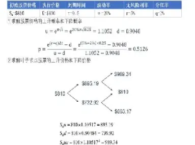期权代码r与s(期权代码几位数)_https://www.hougads.com_恒指学院_第1张