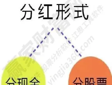 分红期权是什么意思(期权参与分红吗)_https://www.hougads.com_恒指期货_第1张
