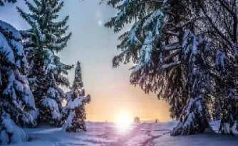 期权合约保证金计算(期权合约保证金怎么计算)_恒指直播室_第1张_厚德恒指期货直播室 期权合约保证金计算(期权合约保证金怎么计算)_https://www.hougads.com_恒指直播室_第1张