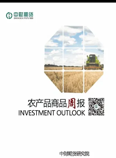 中财期货啥时候上市(中财期货在哪里可以看)_https://www.hougads.com_恒指期货_第1张