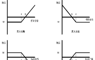 什么是期权期权交易是什么意思(什么是期权股有什么价值)_https://www.hougads.com_恒指期货_第1张