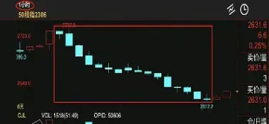 股指期货连续合约代码(股指期货合约一般多久到期)_https://www.hougads.com_恒指期货_第1张