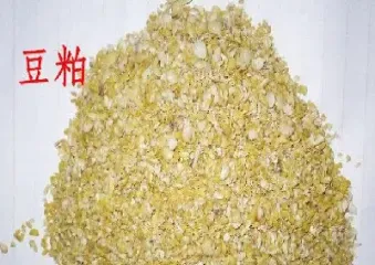 豆粕期货行情最新预测(豆粕期货最新信息)_https://www.hougads.com_恒指学院_第1张