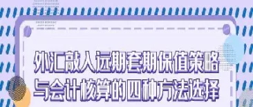 外汇市场套期保值举例(外汇套期保值失败原因)_https://www.hougads.com_恒指期货_第1张
