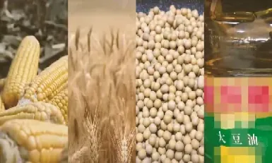 玉米期货最低点是多少点(玉米期货走势图)_https://www.hougads.com_恒指直播室_第1张