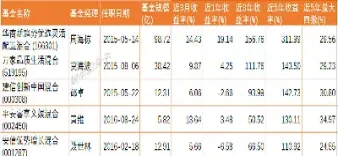 全球指数基金年化最好的(指数基金年化收益率排行榜)_https://www.hougads.com_恒指直播室_第1张