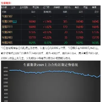 生猪期货2109什么意思(生猪期货是什么意思)_https://www.hougads.com_恒指直播室_第1张