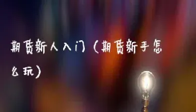 怎样玩期货入门基础知识(期货入门基础知识)_https://www.hougads.com_恒指学院_第1张