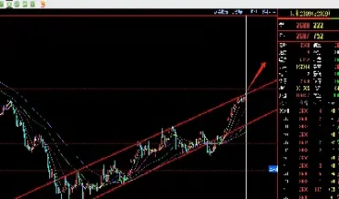 今日美国玉米期货价格(美国玉米期货价格)_https://www.hougads.com_恒指学院_第1张