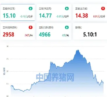 毛猪期货今天价格行情(毛猪期货今天价格行情最新)_https://www.hougads.com_恒指学院_第1张