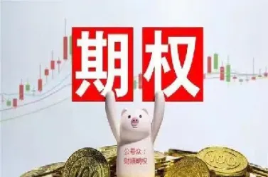 商品期权是美式还是欧式(场内商品期权是美式还是欧式)_https://www.hougads.com_恒指直播室_第1张