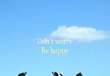 认沽期权风险有限盈利无限(买入认沽期权风险有限盈利无限)_https://www.hougads.com_恒指学院_第1张