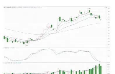 连豆粕早盘下跌(豆粕宽幅震荡区间)_https://www.hougads.com_恒指学院_第1张