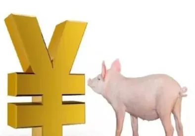 生猪期货跌跌不休(生猪期货跌跌不休的原因)_https://www.hougads.com_恒指直播室_第1张