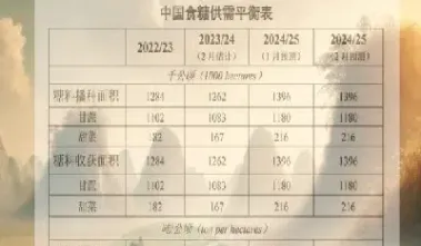 白糖期货价格行情今日报价查询(白糖期货行情实时行情)_https://www.hougads.com_恒指学院_第1张