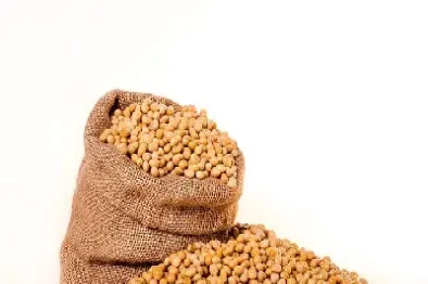 一手美豆粕期货合约是多少吨(一手豆粕期权需要多少权利金)_恒指期货_第1张_厚德恒指期货直播室 一手美豆粕期货合约是多少吨(一手豆粕期权需要多少权利金)_https://www.hougads.com_恒指期货_第1张