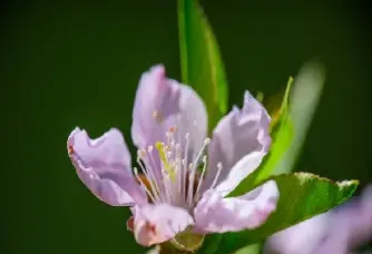 如何做多股指期货(做股指期货要多少资金)_https://www.hougads.com_恒指期货_第1张