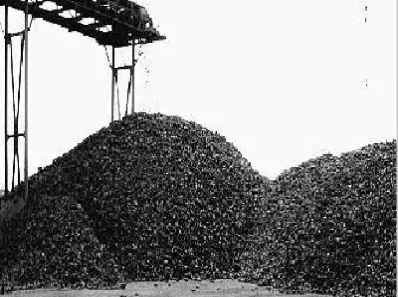 铁矿石主力期货行情走势(铁矿石主力期货合约涨跌幅度)_https://www.hougads.com_恒指直播室_第1张