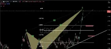 外汇期权的权利金(外汇期权属于金融期权)_https://www.hougads.com_恒指学院_第1张