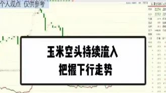 期货玉米主力合约持仓到哪一天(玉米期货可以持仓多长时间)_https://www.hougads.com_恒指学院_第1张