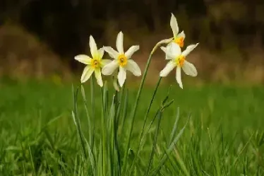 期权合约的标的物包括期货合约(期权合约的标的资产)_https://www.hougads.com_恒指期货_第1张