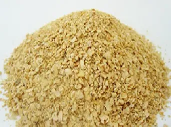 豆粕当月连续开盘时间(豆粕当月连续交易时间)_https://www.hougads.com_恒指直播室_第1张