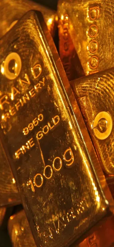 黄金价格走势表(黄金价格走势表查询)_https://www.hougads.com_恒指期货_第1张