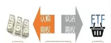 实物期权的特点(实物期权的概念)_https://www.hougads.com_恒指期货_第1张