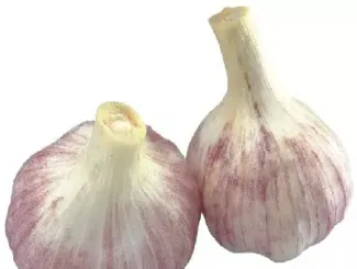 大蒜期货交易的风险控制(大蒜期货交易的风险控制有哪些)_https://www.hougads.com_恒指直播室_第1张