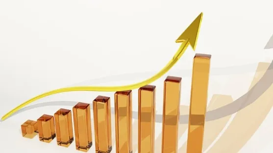 菜粨期货价格最新消息(ai菜粕期货最新行情分析)