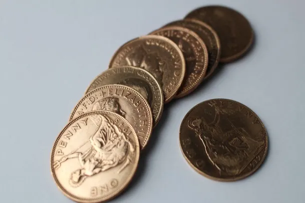 美豆粉期货实时行情(美豆期货实时行情哪里看)