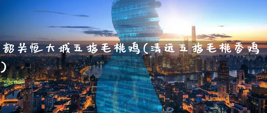 韶关恒大城五指毛桃鸡(清远五指毛桃香鸡)_https://www.hougads.com_恒指期货_第1张