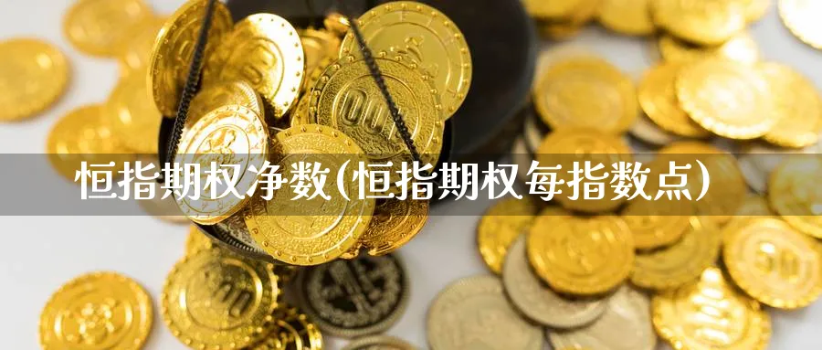 恒指期权净数(恒指期权每指数点)_https://www.hougads.com_恒指直播室_第1张