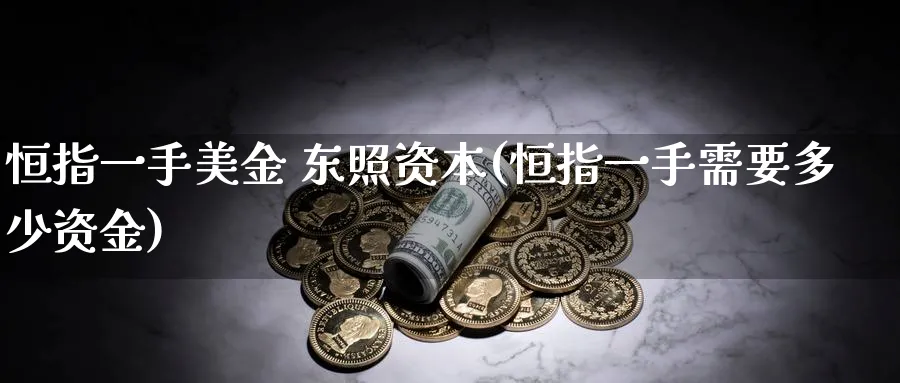 恒指一手美金 东照资本(恒指一手需要多少资金)_https://www.hougads.com_恒指期货_第1张