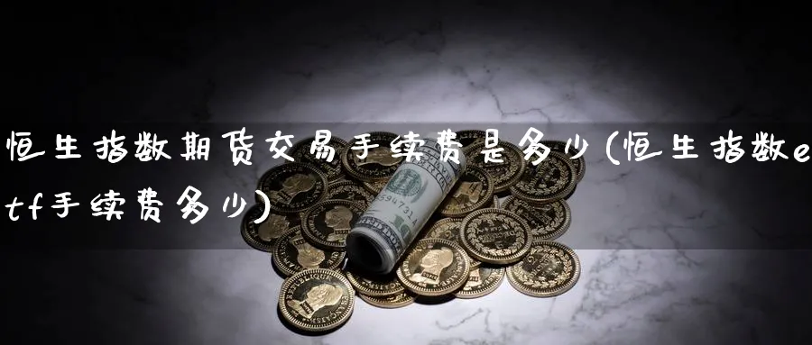 恒生指数期货交易手续费是多少(恒生指数etf手续费多少)_https://www.hougads.com_恒指学院_第1张