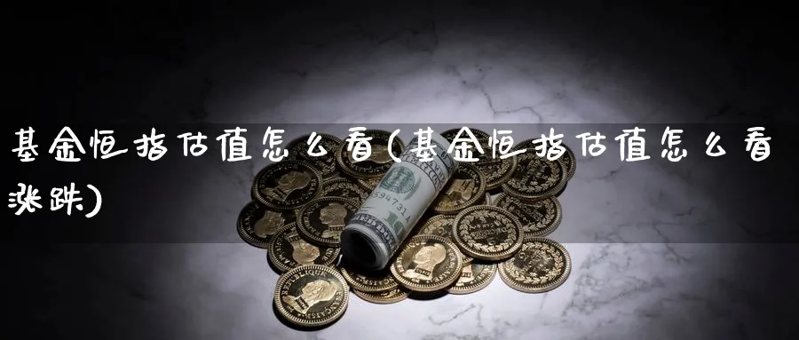 基金恒指估值怎么看(基金恒指估值怎么看涨跌)_https://www.hougads.com_恒指期货_第1张
