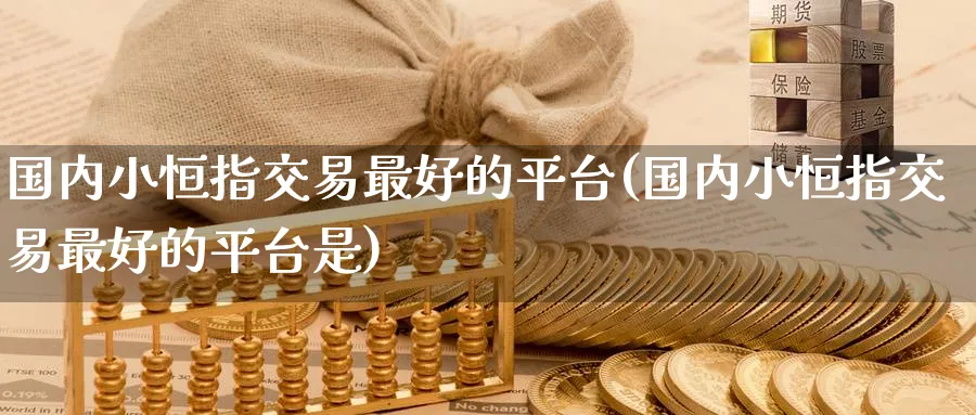 国内小恒指交易最好的平台(国内小恒指交易最好的平台是)_https://www.hougads.com_恒指期货_第1张