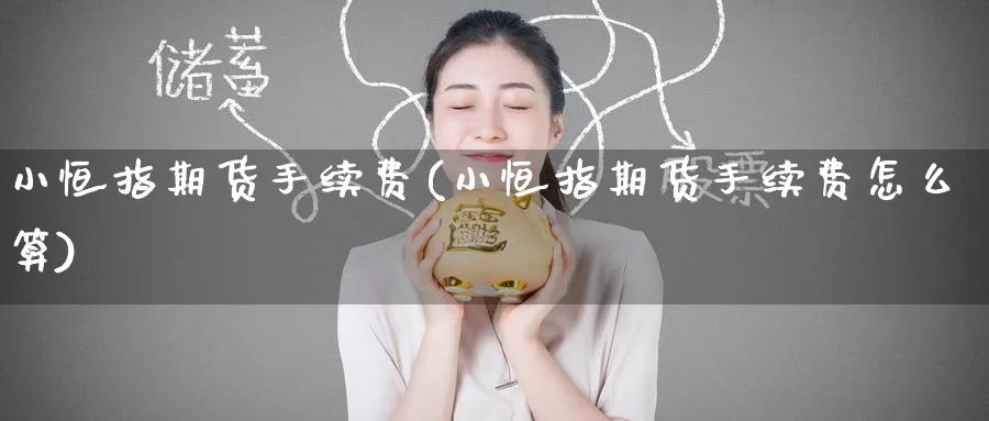 小恒指期货手续费(小恒指期货手续费怎么算)_https://www.hougads.com_恒指期货_第1张