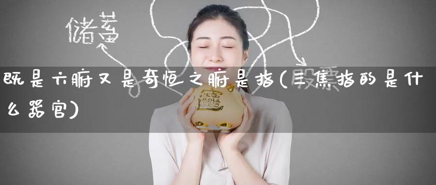 既是六腑又是奇恒之腑是指(三焦指的是什么)_https://www.hougads.com_恒指期货_第1张