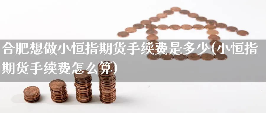 合肥想做小恒指期货手续费是多少(小恒指期货手续费怎么算)_https://www.hougads.com_恒指学院_第1张