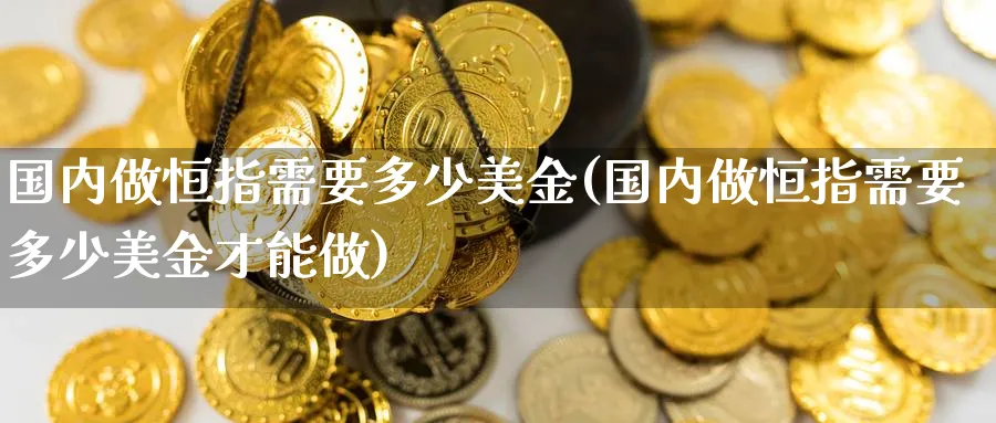 国内做恒指需要多少美金(国内做恒指需要多少美金才能做)_https://www.hougads.com_恒指直播室_第1张