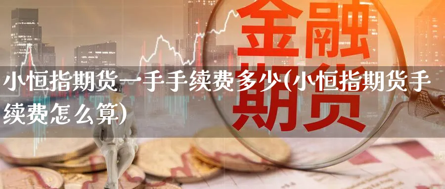 小恒指期货一手手续费多少(小恒指期货手续费怎么算)_https://www.hougads.com_恒指直播室_第1张