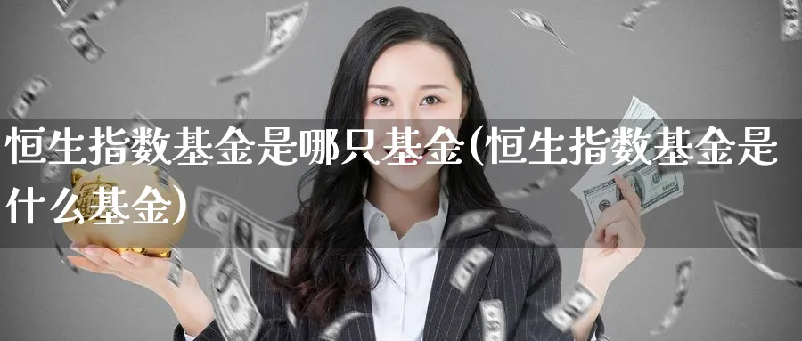 恒生指数基金是哪只基金(恒生指数基金是什么基金)_https://www.hougads.com_恒指直播室_第1张