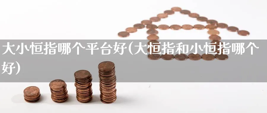 大小恒指哪个平台好(大恒指和小恒指哪个好)_https://www.hougads.com_恒指学院_第1张