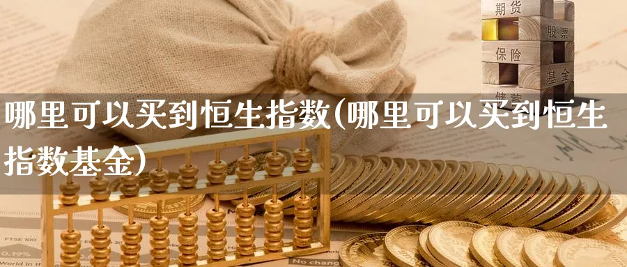 哪里可以买到恒生指数(哪里可以买到恒生指数基金)_https://www.hougads.com_恒指期货_第1张